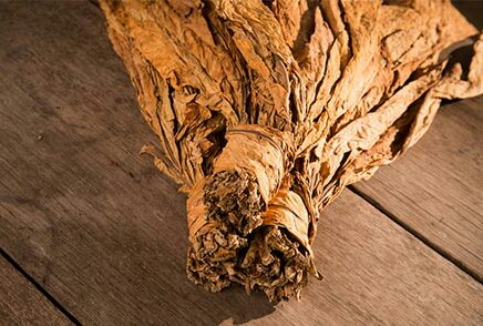 medMD9L7E5E_1.jpg image