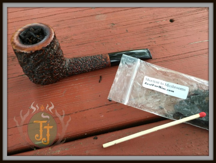 wp-1466332026011 image