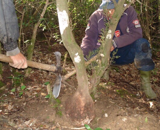 image credit : boutchematbriar.com