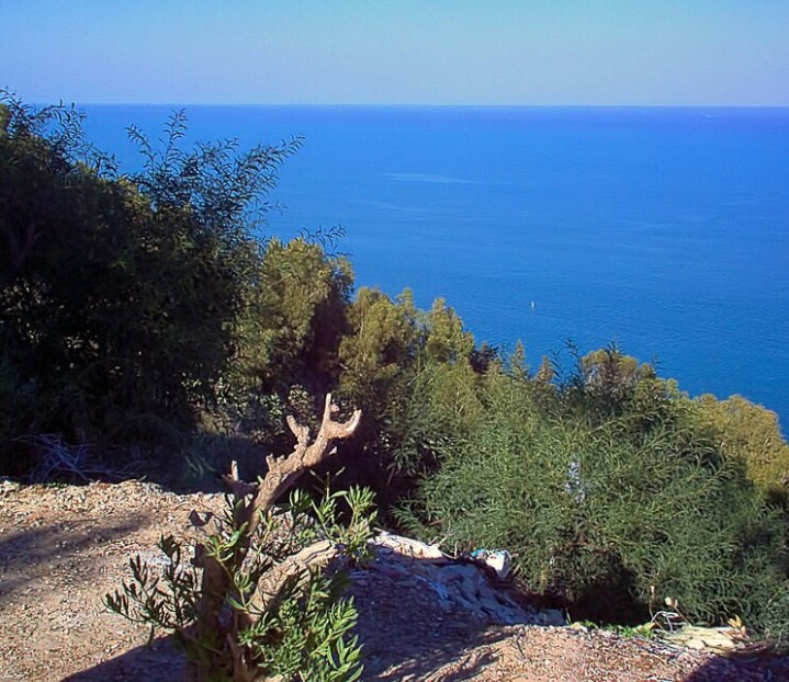 kredit imej : cdn.pixabay.com